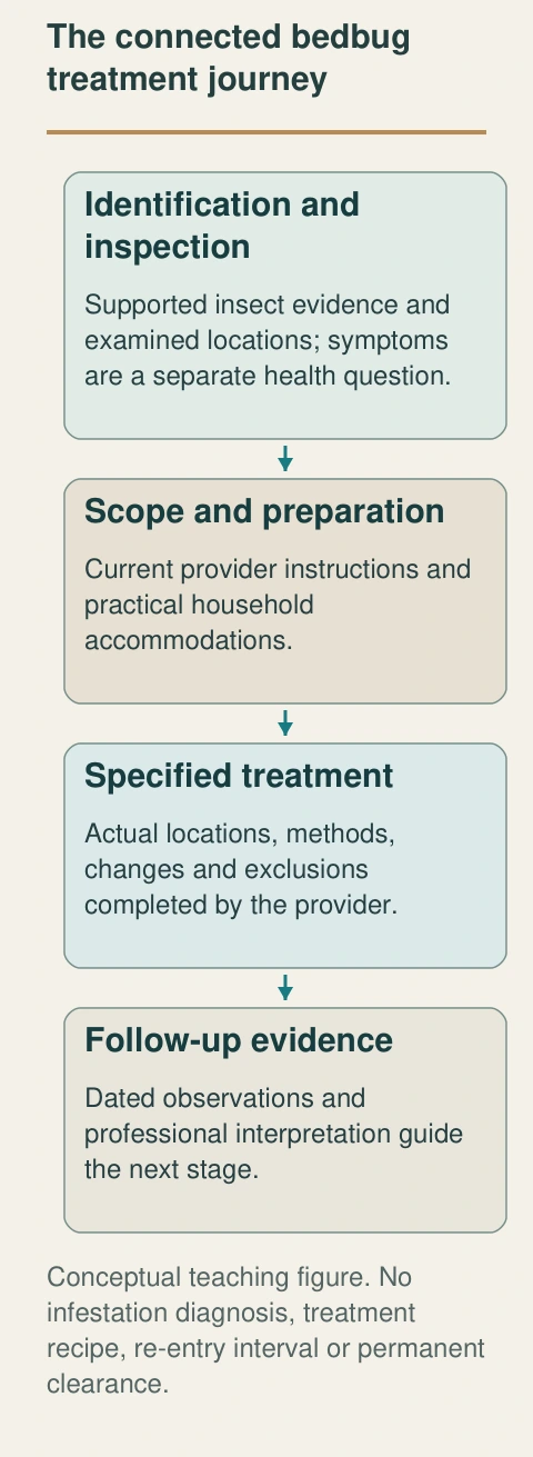 Identification, scoped access, treatment and follow-up answer different questions. The actual professional plan governs each stage.